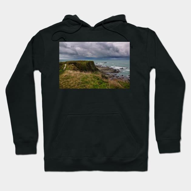 Storm Clouds off Kaikoura 1 Hoodie by fotoWerner